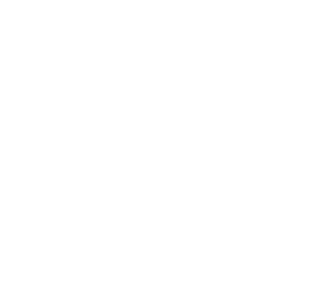 información institucional